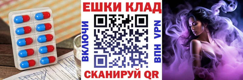 ЭКСТАЗИ Philipp Plein  купить закладку  Губкин 