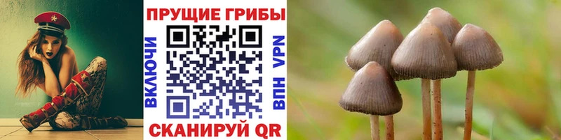 Галлюциногенные грибы MAGIC MUSHROOMS  Губкин 