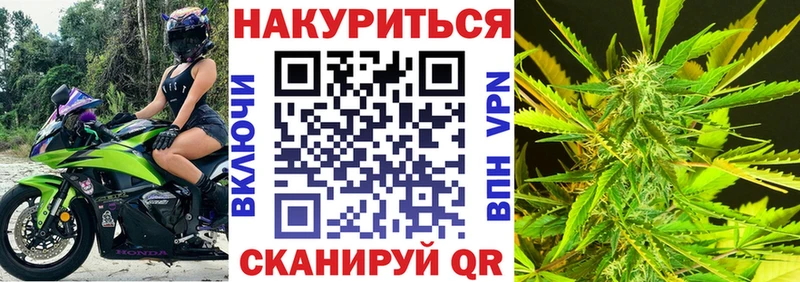 ОМГ ОМГ вход  Губкин  Конопля планчик 